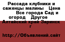 Рассада клубники и саженцы малины › Цена ­ 10 - Все города Сад и огород » Другое   . Алтайский край,Заринск г.